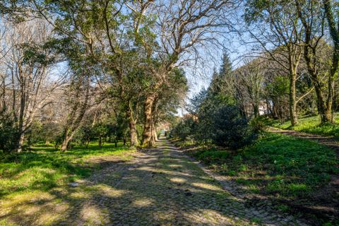 Landsbyhus i Sintra, Lisbon, Sintra - € 16.500.000 | Ref: W-02WJ84 - foto 6
